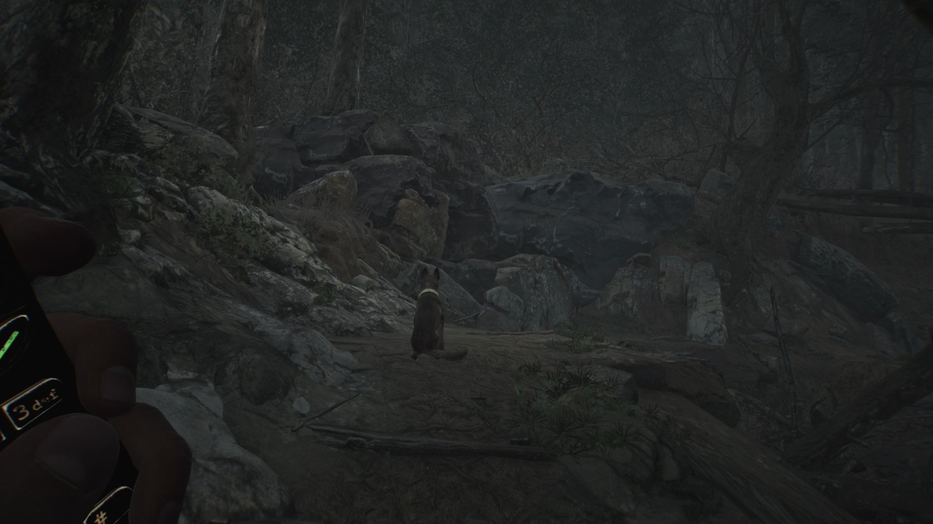 Blair Witch - Imagen 14